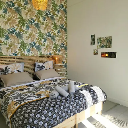 Apartment Les Palmiers D'hyeres Hyeres