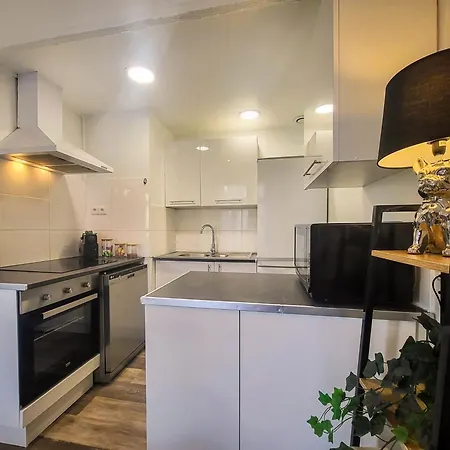 Apartment Les Palmiers D'hyeres *