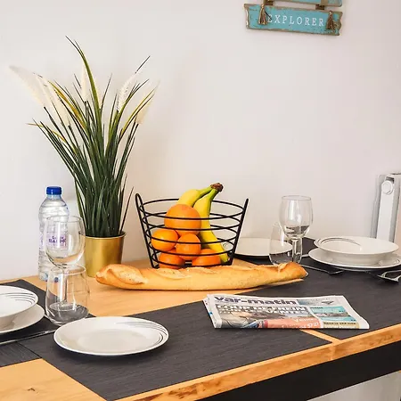 Les Palmiers D'hyeres Apartment